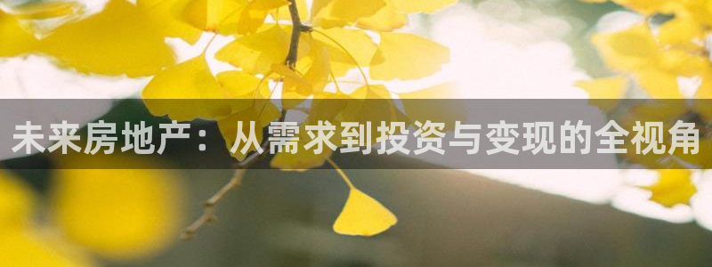 摩登6韩这7O667：未来房地产：从需求到投资与变现的全视角