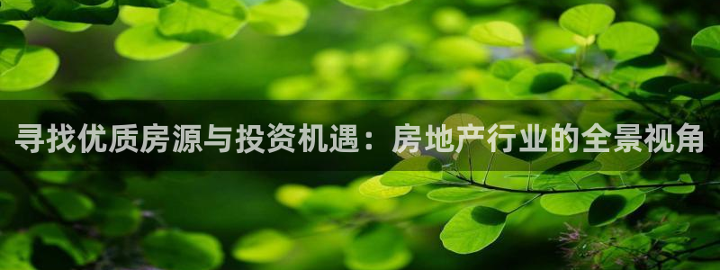 摩登4前7O667：寻找优质房源与投资机遇：房地产行业的全景