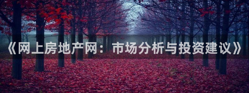 摩登7多3299O7：《网上房地产网：市场分析与投资建议》