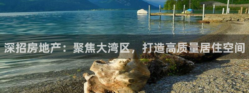 摩登7登录奥333OO：深招房地产：聚焦大湾区，打造高质量居
