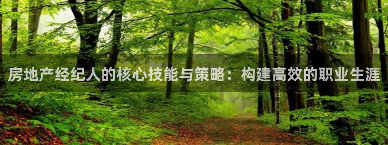 摩登6后7O667：房地产经纪人的核心技能与策略：构建高效的