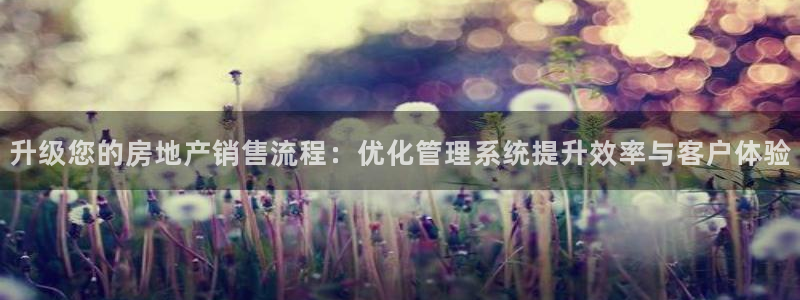 摩登7平台首页：升级您的房地产销售流程：优化管理系统提升效率