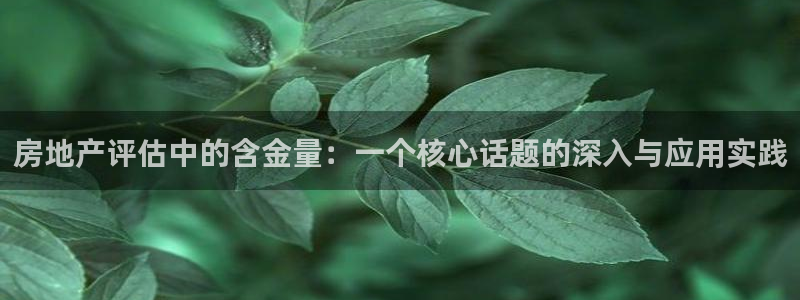 摩登7登录找qv3822233：房地产评估中的含金量：一个核