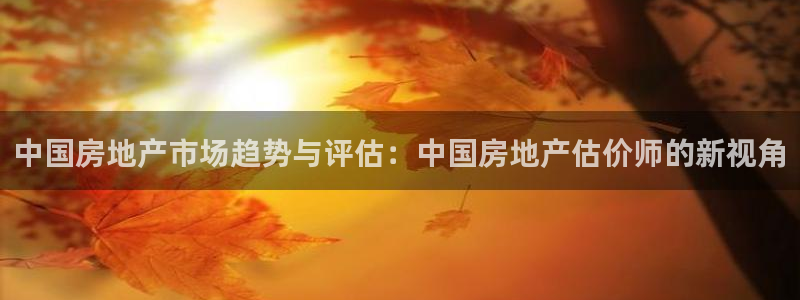 摩登3来找7O667：中国房地产市场趋势与评估：中国房地产估