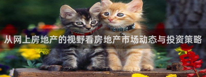 摩登6冯这7O667：从网上房地产的视野看房地产市场动态与投