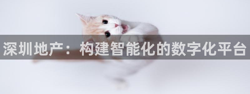 摩登3褚7O667：深圳地产：构建智能化的数字化平台