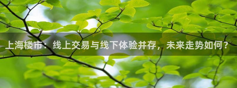 摩登7属于什么平台：上海楼市：线上交易与线下体验并存，未来走