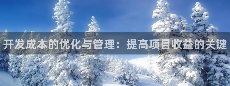 摩登注册型7O777：开发成本的优化与管理：提高项目收益的关