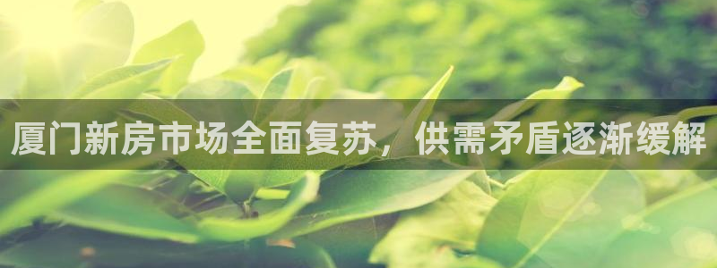 摩登7左：厦门新房市场全面复苏，供需矛盾逐渐缓解