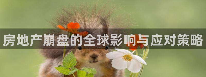 摩登4地7O667：房地产崩盘的全球影响与应对策略