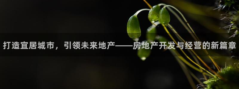 摩登3往找7O667：打造宜居城市，引领未来地产——房地产开