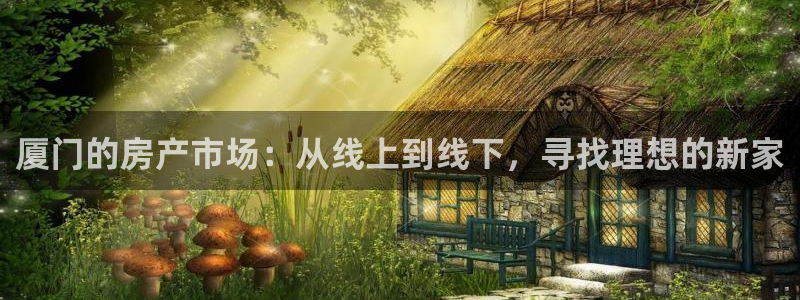 摩登6天7O667：厦门的房产市场：从线上到线下，寻找理想的
