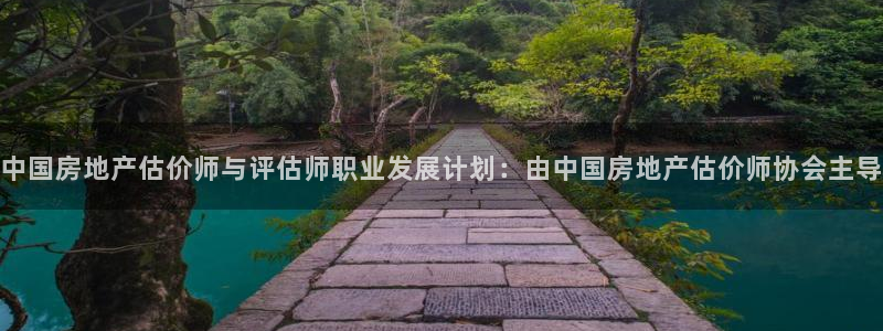 摩登平台标7O777：中国房地产估价师与评估师职业发展计划：