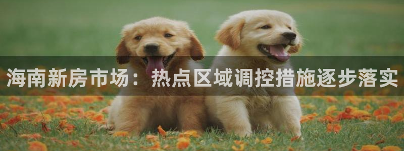 摩登注册尽7O777：海南新房市场：热点区域调控措施逐步落实