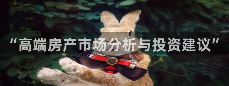 摩登7：“高端房产市场分析与投资建议”