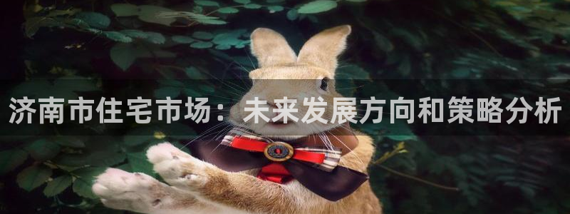 摩登7下：济南市住宅市场：未来发展方向和策略分析