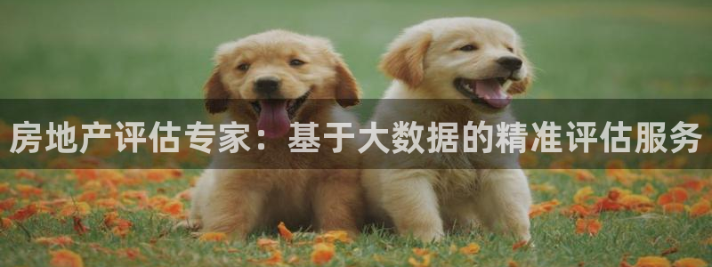 摩登招商丨金手指科捷7：房地产评估专家：基于大数据的精准评估