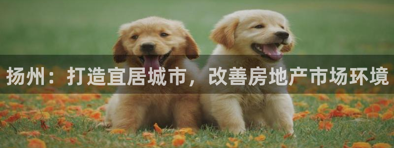 摩登7登录：扬州：打造宜居城市，改善房地产市场环境