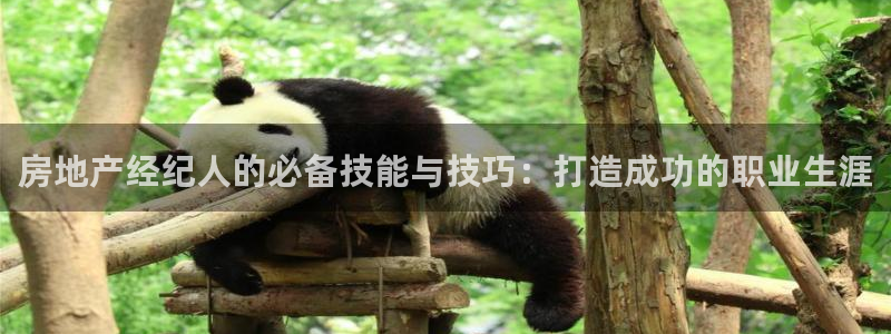 摩登7主管：房地产经纪人的必备技能与技巧：打造成功的职业生涯