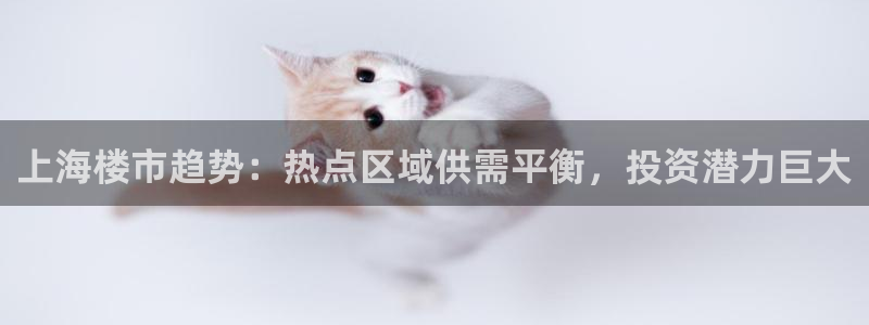 摩登7风3299O7：上海楼市趋势：热点区域供需平衡，投资潜