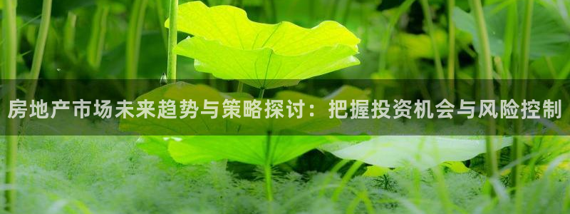 摩登3往找7O667：房地产市场未来趋势与策略探讨：把握投资