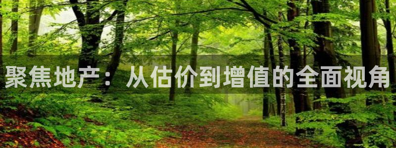 摩登7平台网址：聚焦地产：从估价到增值的全面视角