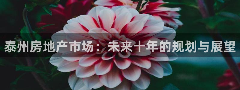 摩登6韩这7O667：泰州房地产市场：未来十年的规划与展望