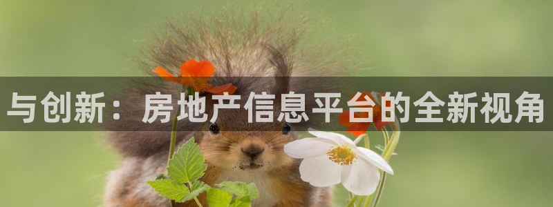 摩登7官网的详细介绍：与创新：房地产信息平台的全新视角
