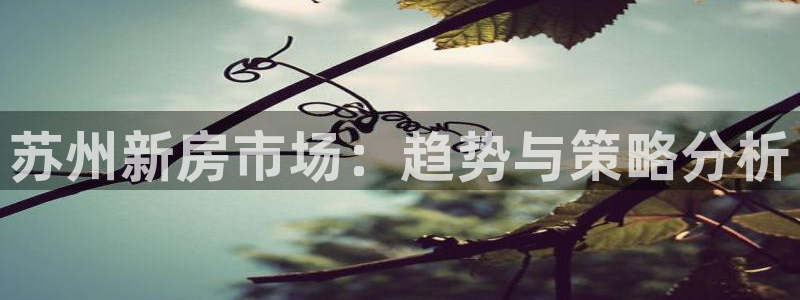 摩登18 7：苏州新房市场：趋势与策略分析