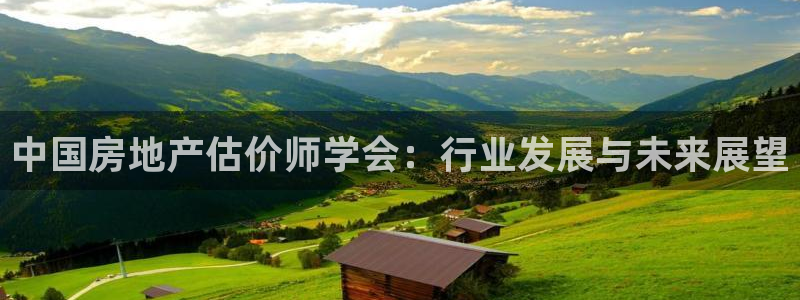 摩登7夜判官333OO：中国房地产估价师学会：行业发展与未来