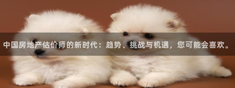摩登7泽333OO：中国房地产估价师的新时代：趋势、挑战与机