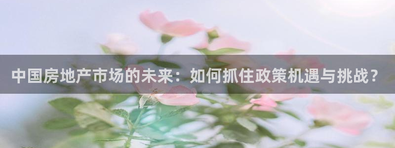 摩登7直属：中国房地产市场的未来：如何抓住政策机遇与挑战？