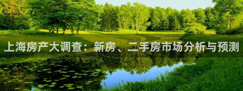 摩登7招商议333OO：上海房产大调查：新房、二手房市场分析