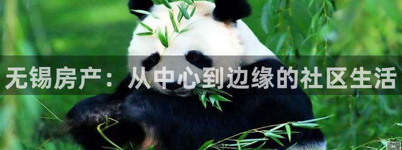 摩登7挂机：无锡房产：从中心到边缘的社区生活