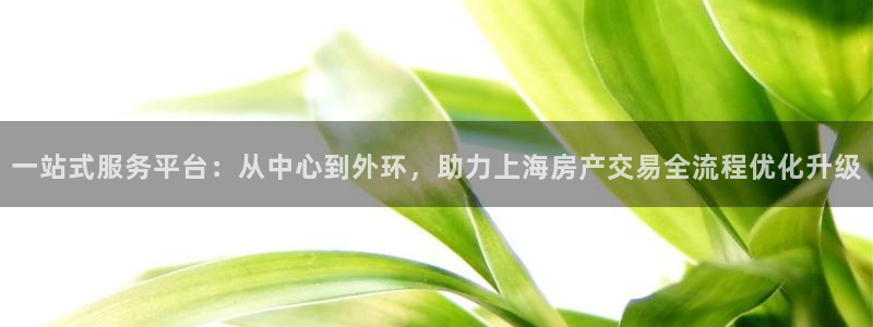 摩登7登录找qv3822233：一站式服务平台：从中心到外环