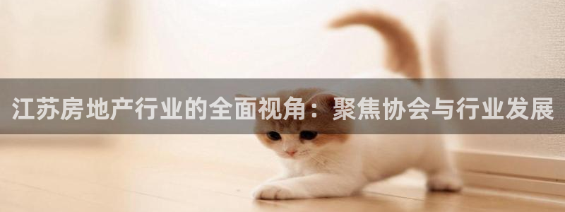 摩登7app官网下载：江苏房地产行业的全面视角：聚焦协会与行