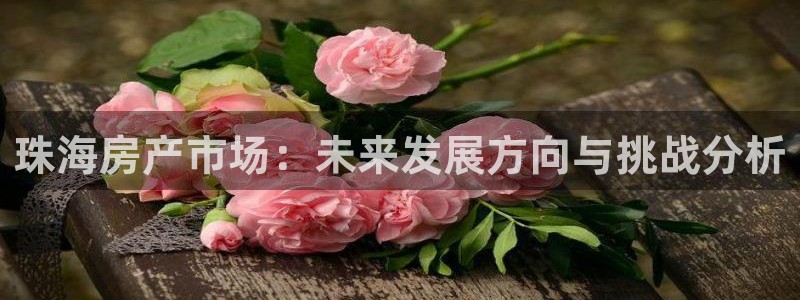 摩登7登陆注册：珠海房产市场：未来发展方向与挑战分析