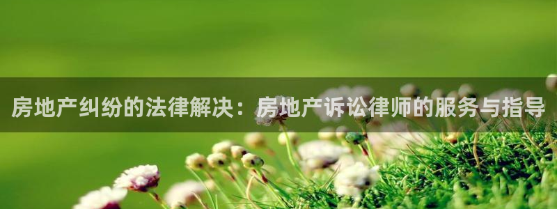 摩登7左7O667：房地产纠纷的法律解决：房地产诉讼律师的服