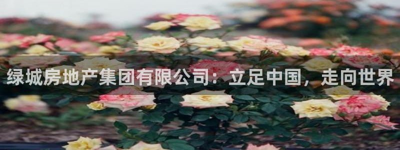 摩登7月3299O7：绿城房地产集团有限公司：立足中国，走向