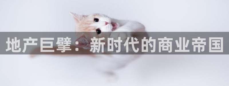 摩登7怎么登录不了了：地产巨擘：新时代的商业帝国