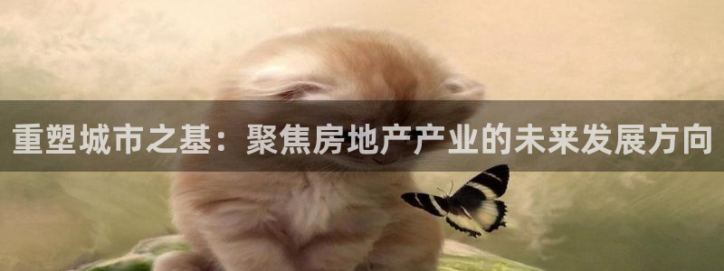 摩登7注册清333OO：重塑城市之基：聚焦房地产产业的未来发