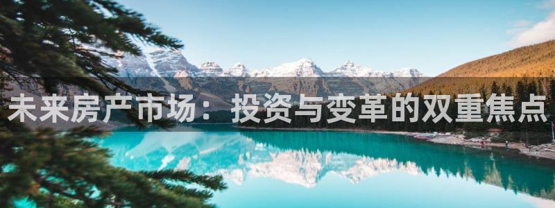 摩登7是什么：未来房产市场：投资与变革的双重焦点