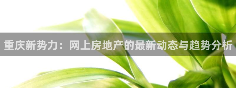 摩登7注册：重庆新势力：网上房地产的最新动态与趋势分析