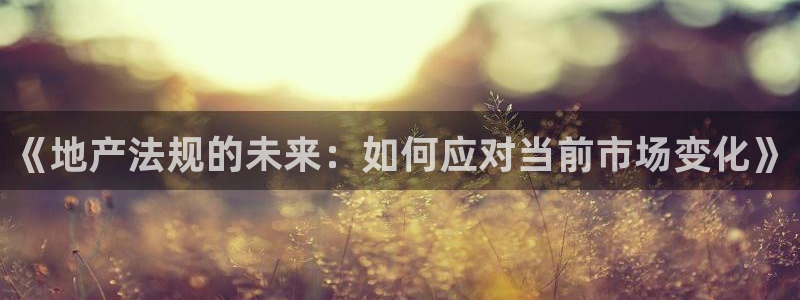 摩登7地3299O7：《地产法规的未来：如何应对当前市场变化