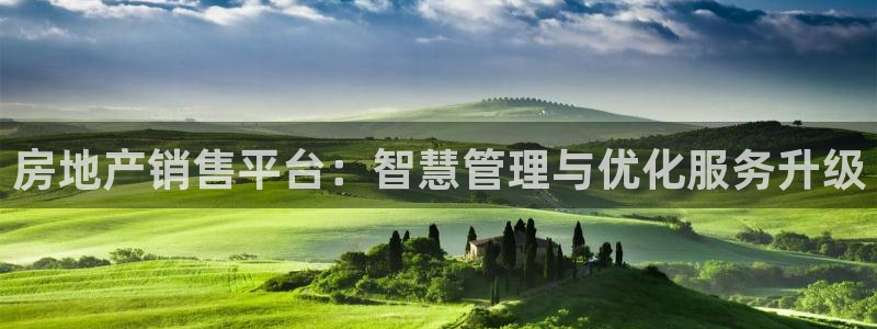 摩登7娱乐平台怎么样：房地产销售平台：智慧管理与优化服务升级