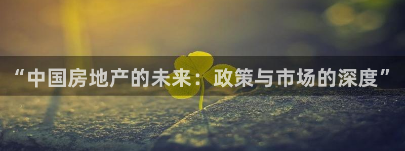摩登7注册账号：“中国房地产的未来：政策与市场的深度”