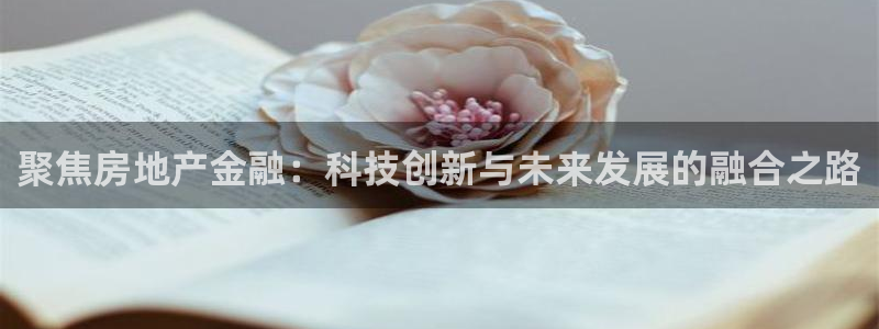 摩登6上7O667：聚焦房地产金融：科技创新与未来发展的融合