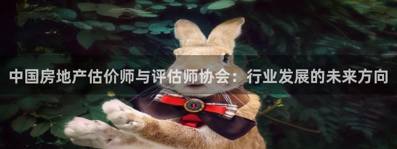 摩登平台视7O777：中国房地产估价师与评估师协会：行业发展