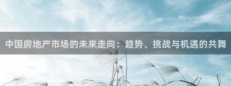 摩登7口碑：中国房地产市场的未来走向：趋势、挑战与机遇的共舞