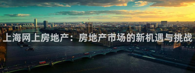 摩登6月7O667：上海网上房地产：房地产市场的新机遇与挑战
